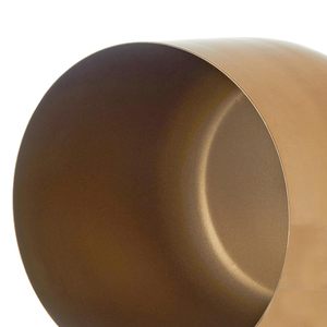 Maceta de Metal Dorada con Soporte, Maceta Decorativa para Interiores, Maceta Moderna para Plantas, Decoración del Hogar, Soporte para Plantas - Product Image 5