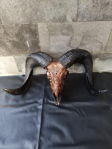Cráneo de Cuerno de Búfalo Pulido Hecho a Mano en India, Estilo Animal para Colgar en la Pared y Decoración Rústica - Product Image 4