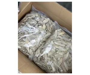 Hueso de Sepia de Alta Calidad de Vietnam para Exportación - Hueso Natural para Alimentación de Aves y Suministros para Mascotas - Product Image 5