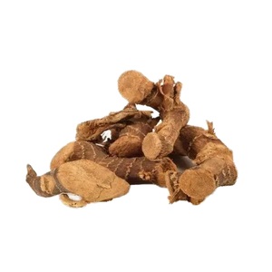 Extracto de Alpinia Galanga CO2 Extracto de planta Premium para la salud y el bienestar - Product Image 1