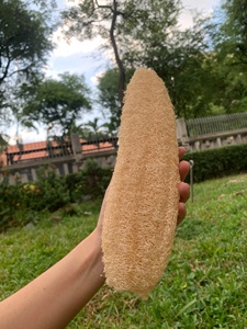 Esponja de Luffa Natural Premium, Ecológica y Biodegradable, para Exfoliación Corporal y Limpieza de Cocina - Product Image 4