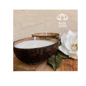 [MEILLEURE VENTE] Bougie GEM en coquille de noix de coco, faite à la main, en cire de soja biodégradable, décoration de Noël pour bureau, éclairage LED, vente en gros - Product Image 1