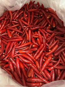 Natural IQF Frozen Red Chili Pepper Whole Premium Quality Vietnam Export Supplier - Product Image 1