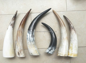 Jarra Vikinga de Cuerno de Buey Natural al 110%, Estilo Pulido, Capacidad de 500 ml, Recuerdo Portátil para Cerveza y Hidromiel - Product Image 2