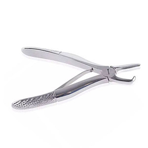 Pince à tartre pour petits animaux, instrument professionnel de détartrage et gratte-dents pour chiens, chats et autres animaux de compagnie - Product Image 5