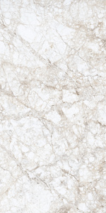 Vente directe d'usine, carreaux de sol en granit 600x1200mm super polis pour salle de banquet. - Product Image 2