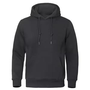 Prix de gros – Sweats à capuche vierges 100 % coton pour hommes, design optimal, prix abordable, sweats à capuche épais de couleur unie pour l'hiver - Product Image 1
