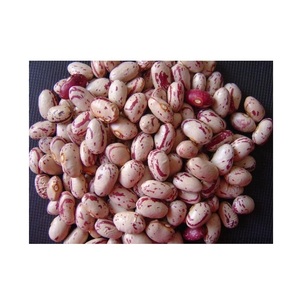 Venta al por Mayor de Frijoles Pinto Secos Naturales, Frijoles Rojos con Motas Púrpuras - Product Image 4