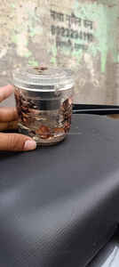 Quemador de Incienso de Resina Hecho a Mano de Lujo Noor Royale para Decoración del Hogar en Ramadán y Eid - Product Image 4