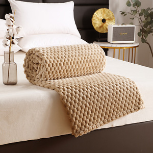 Solid Color Thick Flannel Fleece Throw Blanket Soft 100% Polyester <b>Bed</b> <b>Sofa</b> Office Nap Blanket King Queen Twin Size OEM ODM - Product Image 5