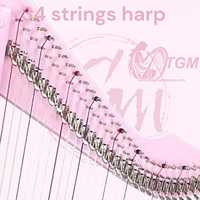 Large Size 36 Strings Lever Harp with Case & Tuning Key Elegant Vintage Style Floral Design Made Musical Instruments Harps