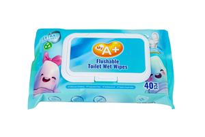 カスタム水洗トイレ用ウェットティッシュ 10枚入り 小型パッケージ 使い捨てウェットトイレットペーパー 生分解性ウェットクリーニングワイプ - Product Image 3