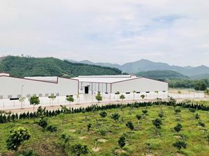 วัสดุบริสุทธิ์100% กันน้ำกันรอยขีดข่วนทนต่อการขีดข่วนจากเวียดนาม - Product Image 6