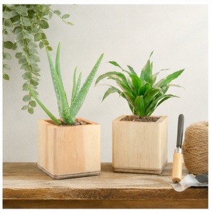 Square Natural Pine <b>Wood</b> Planter Pots Handmade Wooden Succulent Boxes for Office <b>Desk</b> Custom Logo OEM <b>Solid</b> <b>Wood</b> Flower Pot - Product Image 3