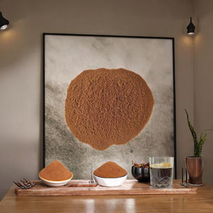 กาแฟสำเร็จรูปชนิดสเปรย์ดราย รสขม คาเฟอีนสูง รสช็อกโกแลต เกรดอาหาร บรรจุถุง วัตถุดิบสำหรับขายส่ง 100% โรบัสต้า - Product Image 4