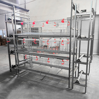 Cage à poulets galvanisée de type H à 4 niveaux, 120/128 poulets, cage à batterie entièrement automatique