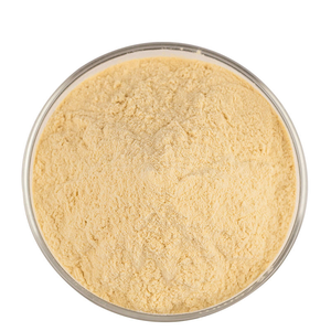 Poudre d'extrait de levure la plus vendue, qualité supérieure, 100 % pure et naturelle, en gros, provenant d'Inde - Product Image 1