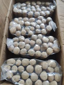 Jouet à mâcher en bois naturel pour chien – Bâton à mâcher durable, sûr et écologique |   Fournisseur de jouets pour animaux de compagnie haut de gamme // M. Tom - Product Image 6