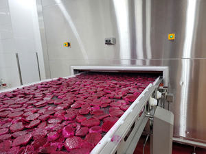 Venta al por mayor de dados de fruta del dragón congelados IQF de 10x10mm, trozos de pitaya roja para panadería y confitería, suministro de fruta natural de alta calidad, sí. - Product Image 2