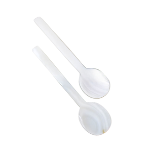 Polished Handmade MOP <b>Shell</b> Spoon Fish Flower Long Handle <b>Mirror</b> Polish Custom Logo Engraved Gourmet Accessory Storage - Product Image 2