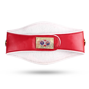 เข็มขัดแชมป์มวย WBC WBA WBO IBO IBF สำหรับผู้ใหญ่ แผ่นโลหะ - Product Image 3