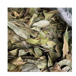 ใบทุเรียนเทศแห้งแบบธรรมชาติสำหรับแบรนด์ชากราวิโอลา - Product Image 3