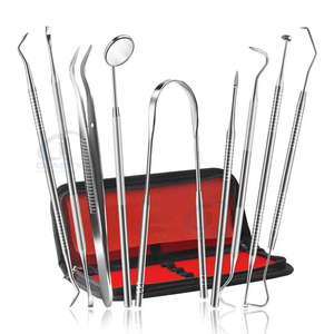 Wholesale Price Professional Dental Instrument Kit Set for <b>Tooth</b> <b>Cleaning</b> <b>Teeth</b> Treatment Dental Equipments Set - Product Image 2