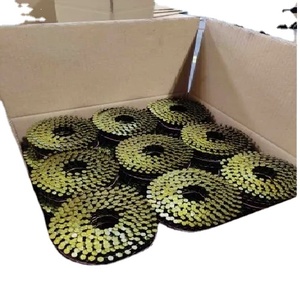 Clavos de Metal Galvanizado por Inmersión en Caliente OEM ODM, Vástago Liso para Techos, Madera y Proyectos de Construcción, Proveedor de la India - Product Image 1