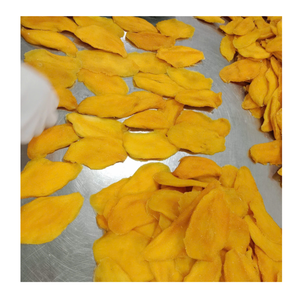 Proveedor Confiable de Rodajas de Mango Seco a Granel, 99 Gold Data, Estándar de Exportación de Vietnam - Product Image 6