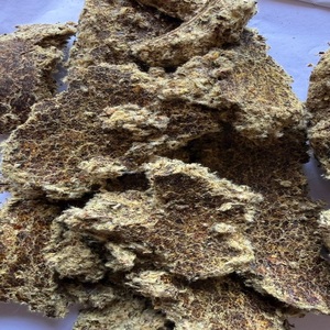 Harina de Semillas de Algodón de Alta Demanda, Grado Alimenticio Natural, Proteína para Ganado, Lechera y Avicultura, Grado A Disponible, Buen Precio - Product Image 4