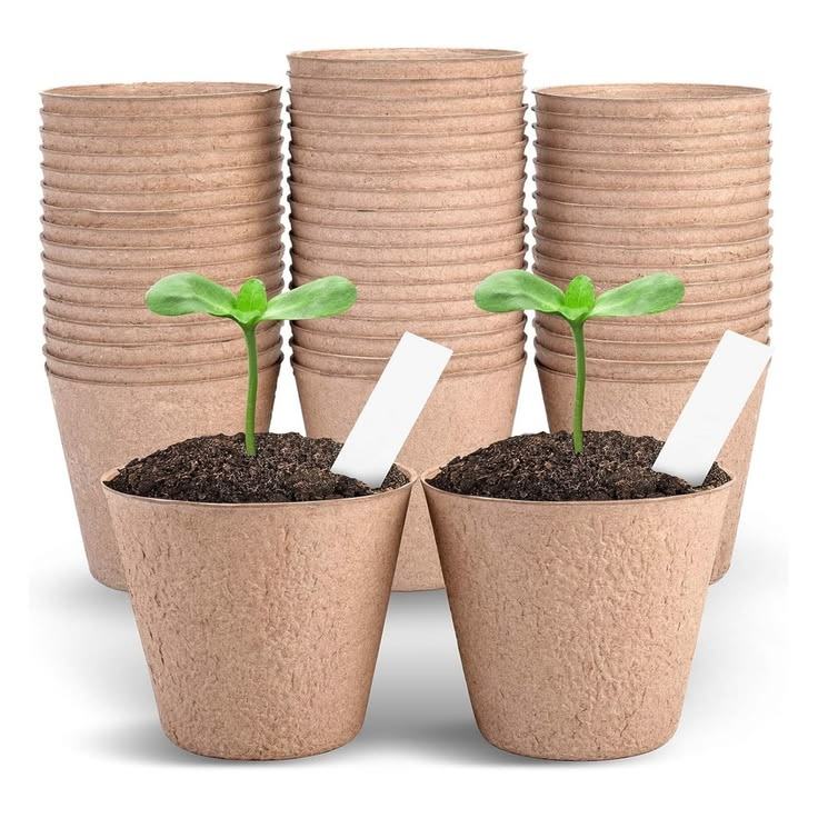 ตามที่แสดง