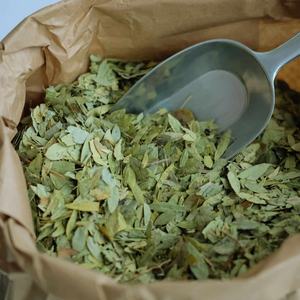 Hojas Secas de Senna de Grado Alimenticio de Alta Calidad, Exportadores al por Mayor, Aumentan el Metabolismo y la Energía, Precio Bajo - Product Image 4