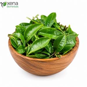 Feuilles de Camellia Sinensis directement de l'usine, matière première botanique naturelle pour produits à base de plantes, vente en gros - Product Image 1