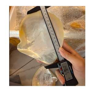 Vaisselle de luxe pour le thé de l'après-midi, assiette en nacre effet coquille d'huître super brillante pour gâteau et caviar - Product Image 1