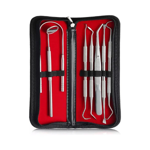 Juego de Herramientas de Limpieza Dental de Acero Inoxidable, Raspador de Dientes Reutilizable, Hilo Dental e Instrumentos para Eliminar la Placa, Instrumento de Limpieza Dental - Product Image 2