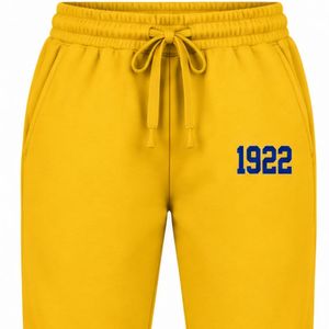 Pantalones Deportivos de Felpa para Mujer, Marca Sigma Gamma Rho, Personalizados para Hermandades Griegas, Pantalones de Entrenamiento, Ropa Deportiva Casual, Venta al Por Mayor - Product Image 3