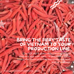พริกแห้งคุณภาพส่งออก IQF พรีเมียม (สีแดงและสีเขียว) ผลิตภัณฑ์จากเวียดนาม - Product Image 5