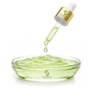 Fournisseur fiable d'extrait liquide d'aloe vera pour les applications dans les domaines de la beauté, du bien-être, des aliments, des boissons et des matières premières industrielles dans le monde entier - Product Image 6