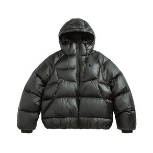 Chaqueta Acolchada con Capucha Verde para Hombre, a la Moda, con Relleno de Plumón, Cierre de Cremallera, Cortavientos, Informal, para Invierno, Corte Regular, 100% Poliéster - Product Image 2