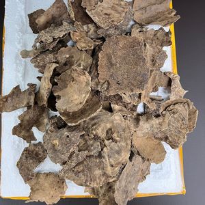 Cáscaras de Agarwood Natural Descomprimido al por Mayor, Char Oud con Alto Contenido de Aceite para Incienso Premium y Ceremonia del Té - Product Image 1
