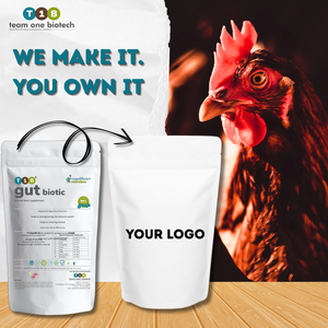 Poudre probiotique biotique Gut Probiotiques de qualité supérieure pour améliorer la qualité de la viande de volaille - Product Image 2