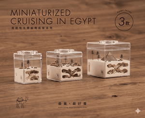 Empire Of Ant Egypt - Hábitat 3D de Acrílico Moderno Integrado de un Solo Lado, Estilo Túnel, con Cierre de Botón a Presión y Diseño Transparente - Product Image 1