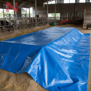 Protège-documents imperméable en plastique durable pour l'organisation des dossiers – Exportations en Inde - Product Image 4