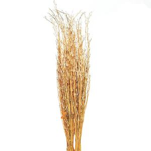 Herbe de Munni séchée naturelle en gros, écologique, décoration intérieure/extérieure, salon, haute qualité, prix d'usine - Product Image 1