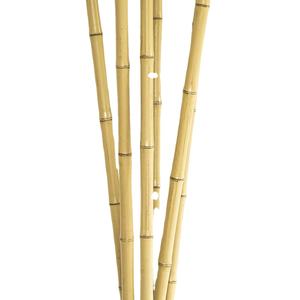 Poste de bambú ecológico de Vietnam para jardín al aire libre-Decorar con precio barato para exportación - Product Image 1