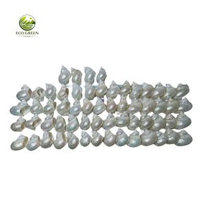 Anillos y Porta Servilletas Hechos a Mano con Conchas de Nácar, Arte Folclórico, Decoración de Mesa Costera para Fiestas - Product Image 6