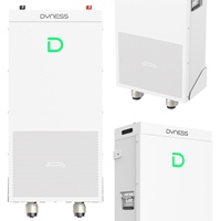 Système de stockage d'énergie solaire extérieur Dyness PowerBrick Plus 16,07 kWh 314 Ah avec protection IP65, système hybride hors réseau pour les ménages