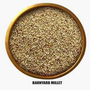 Millet indien en gros, 100% naturel, grain entier, qualité supérieure, idéal pour la cuisson quotidienne, style de vie sain, directement de l'agriculture - Product Image 1