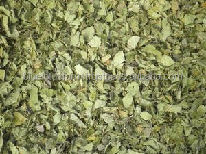 ใบบัวบกแห้งขายส่งจำนวนมากสำหรับตลาดโลก - Product Image 2