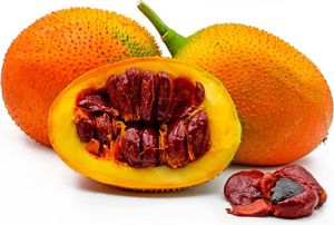 Amandes de fruit de Gac surgelées riches en nutriments pour ingrédients alimentaires et pharmaceutiques - Product Image 3